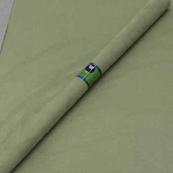Velouslederimitat blassgrün 50x70 cm